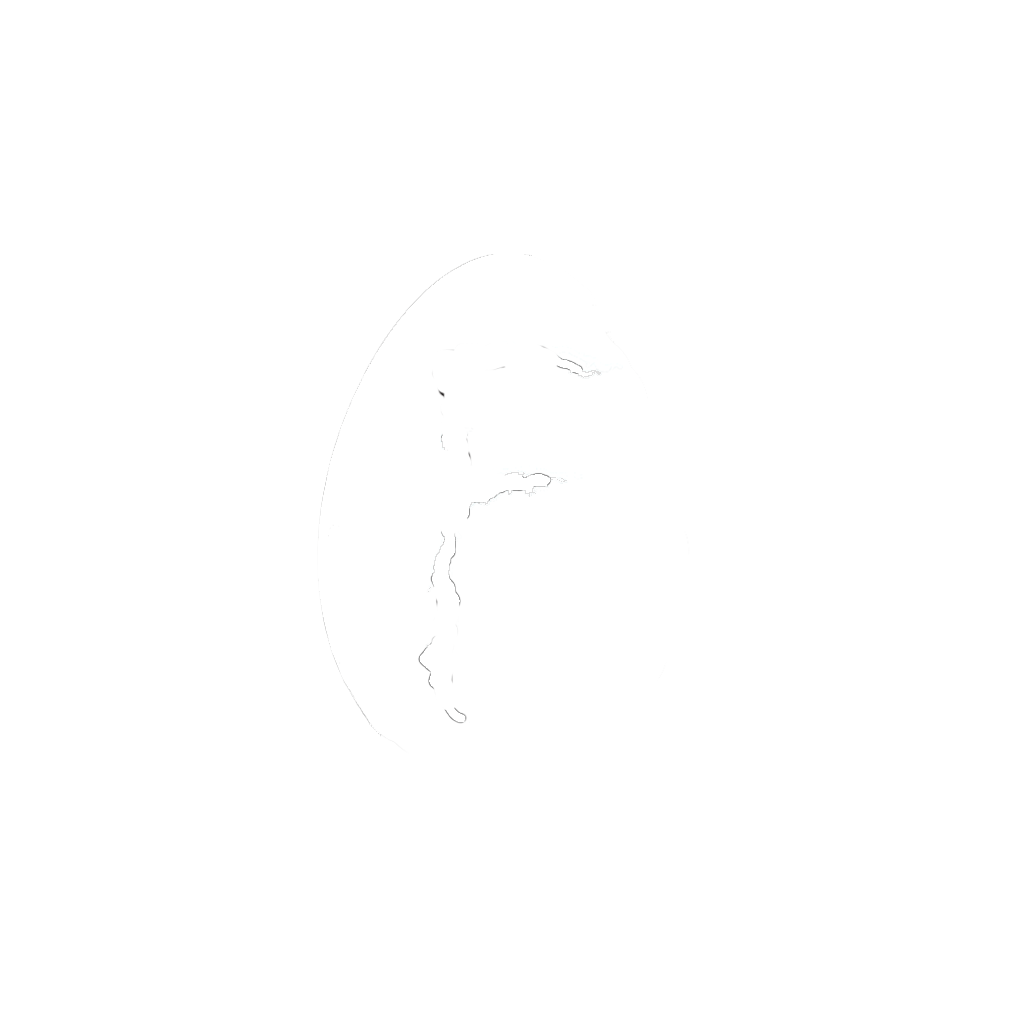 Fantastiq Logo